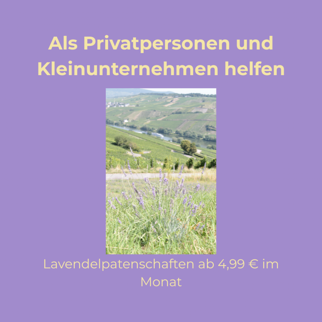 Grafik mit violettem Hintergrund: „Für Privatpersonen und Kleinunternehmen“ sowie „Lavendelpatenschaften ab 4,99 € im Monat“, dazu ein Foto mit Lavendel vor Mosel-Weinbergen.